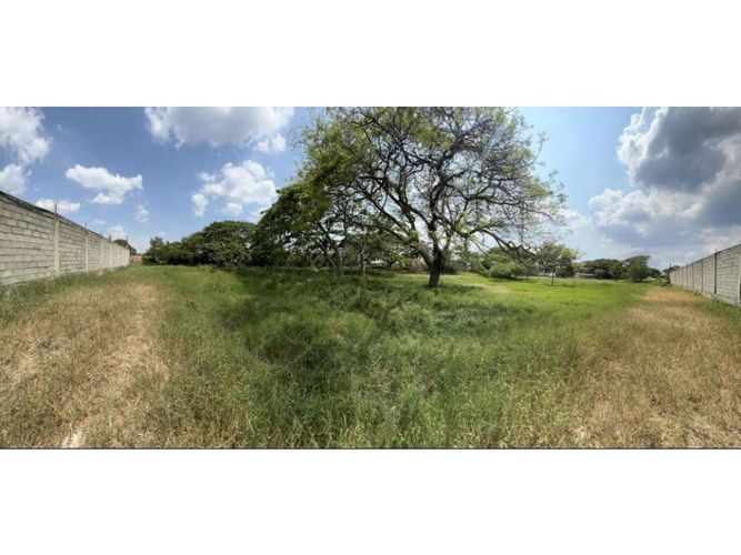 Lote en venta en Obando, Cali, 15000 m² · foto 5 de 12