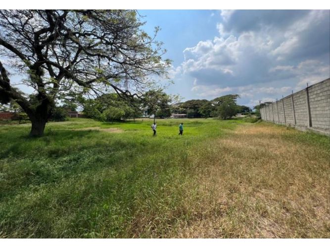 Lote en venta en Obando, Cali, 15000 m² · foto 6 de 12