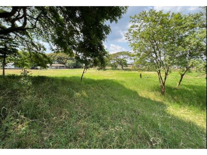 Lote en venta en Obando, Cali, 15000 m² · foto 7 de 12