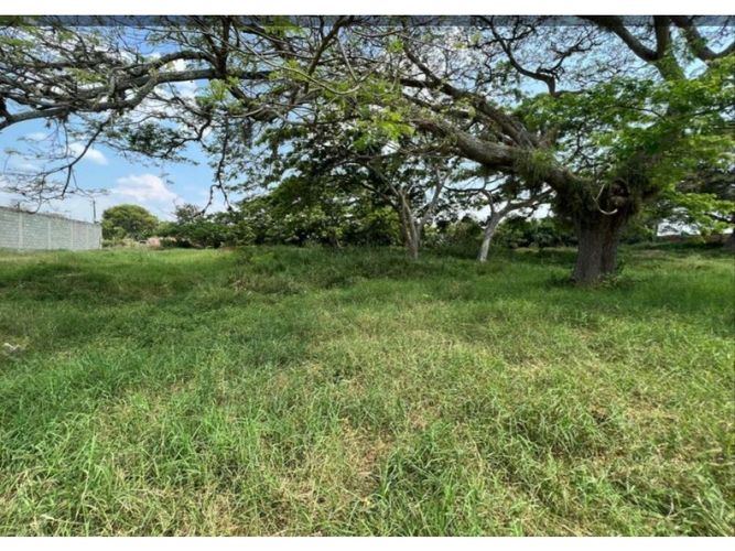 Lote en venta en Obando, Cali, 15000 m² · foto 8 de 12