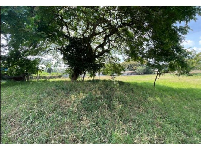 Lote en venta en Obando, Cali, 15000 m² · foto 10 de 12