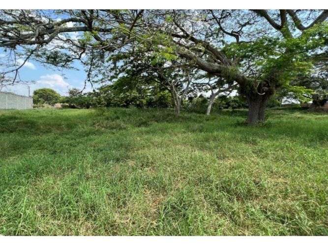 Lote en venta en Obando, Cali, 15000 m² · foto 11 de 12