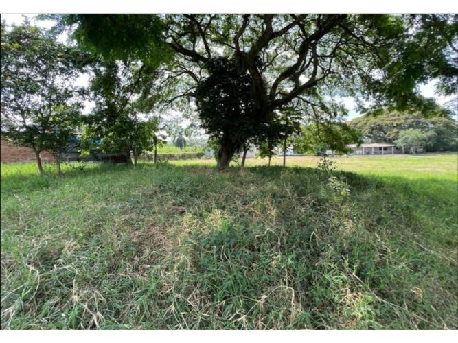 Lote en venta en Obando, Cali, 15000 m² · foto 12 de 12