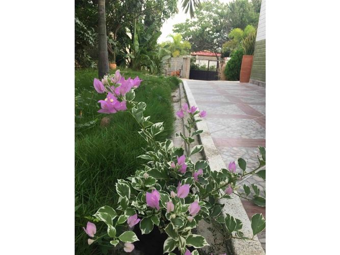 Casa de 4 alcobas en arriendo en Corregimiento De Bonda, Santa Marta, 150 m² · foto 21 de 24