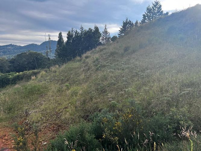 Lote en venta en Loma Del Esmeraldal, Envigado, 1897 m² · foto 7 de 9