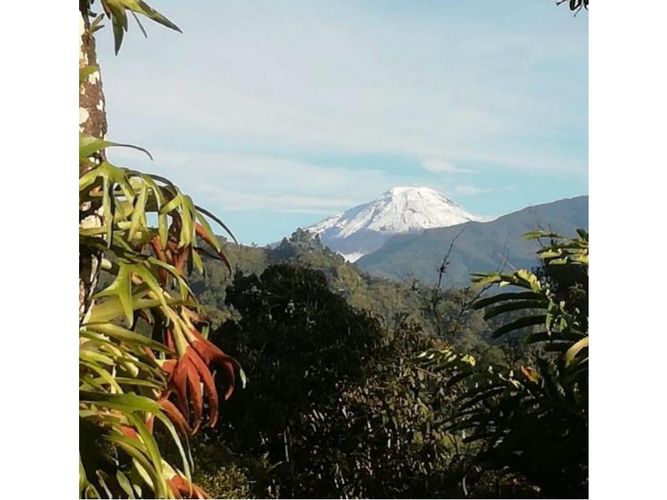 Finca en venta en Coello Cocora, Ibagué, 105 m² · foto 2 de 13