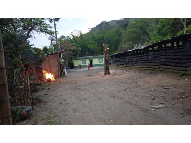 Finca en venta en Coello Cocora, Ibagué, 105 m² · foto 4 de 13