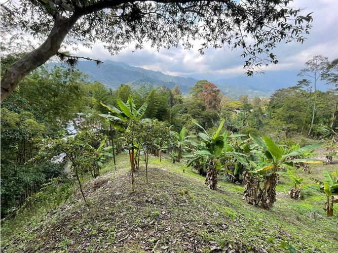 Finca en venta en Coello Cocora, Ibagué, 105 m² · foto 8 de 13