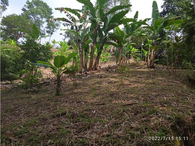 Finca en venta en Coello Cocora, Ibagué, 105 m² · foto 9 de 13