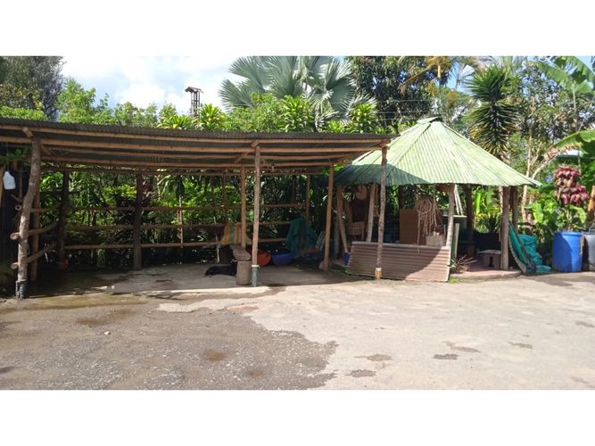 Finca en venta en Coello Cocora, Ibagué, 105 m² · foto 10 de 13