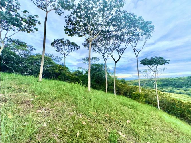 Lote en venta en Pance, Cali, 6029 m² · foto 2 de 22