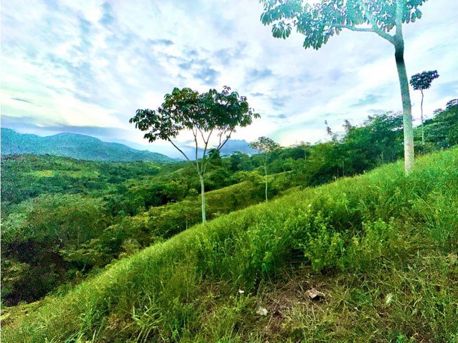 Lote en venta en Pance, Cali, 6029 m² · foto 4 de 22