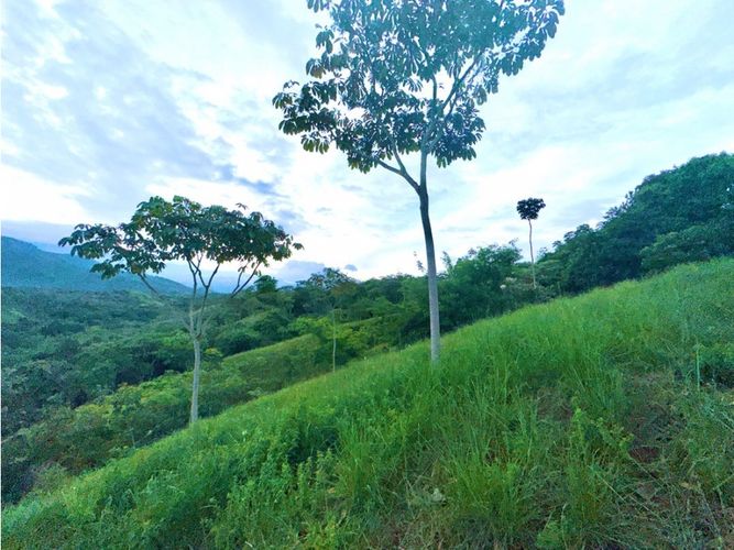 Lote en venta en Pance, Cali, 6029 m² · foto 7 de 22