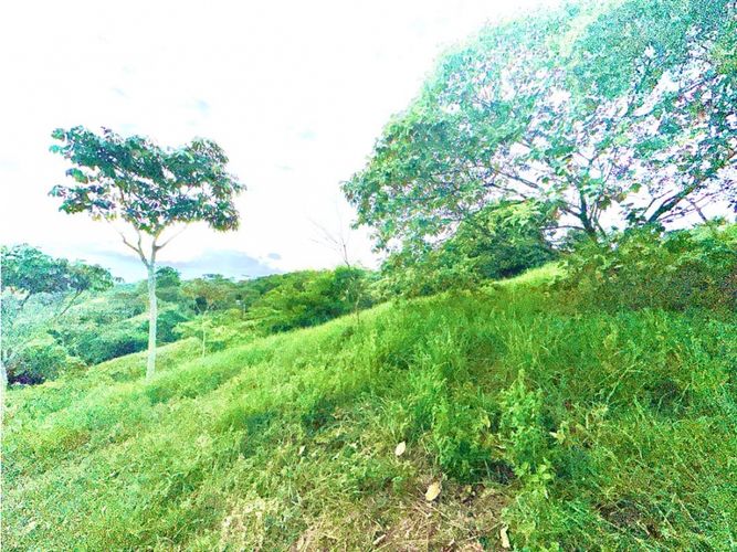 Lote en venta en Pance, Cali, 6029 m² · foto 8 de 22