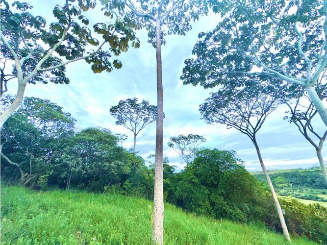 Lote en venta en Pance, Cali, 6029 m² · foto 9 de 22