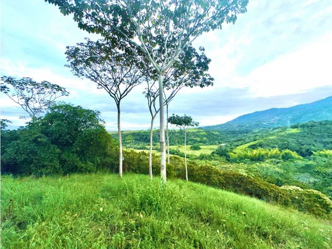 Lote en venta en Pance, Cali, 6029 m² · foto 10 de 22