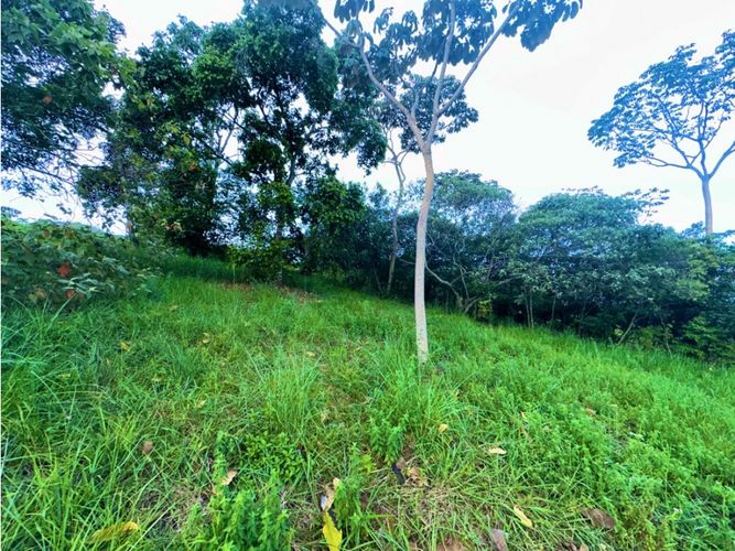 Lote en venta en Pance, Cali, 6029 m² · foto 11 de 22