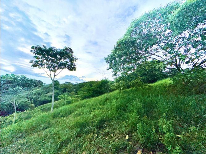 Lote en venta en Pance, Cali, 6029 m² · foto 13 de 22