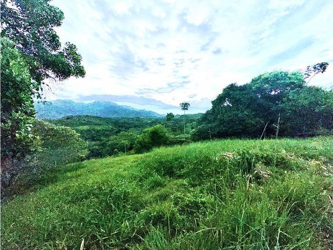 Lote en venta en Pance, Cali, 6029 m² · foto 16 de 22