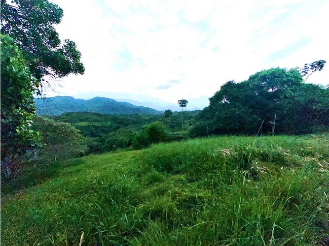 Lote en venta en Pance, Cali, 6029 m² · foto 17 de 22