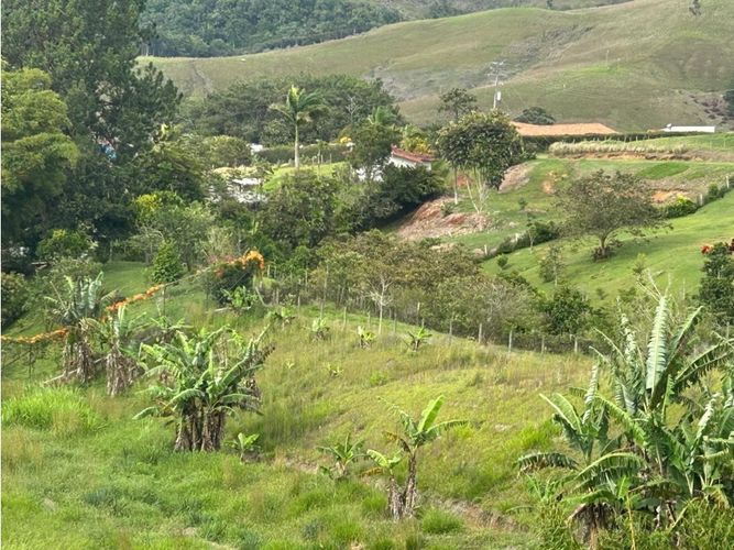 Lote en venta en Lago Calima, Cali, 8600 m² · foto 10 de 15