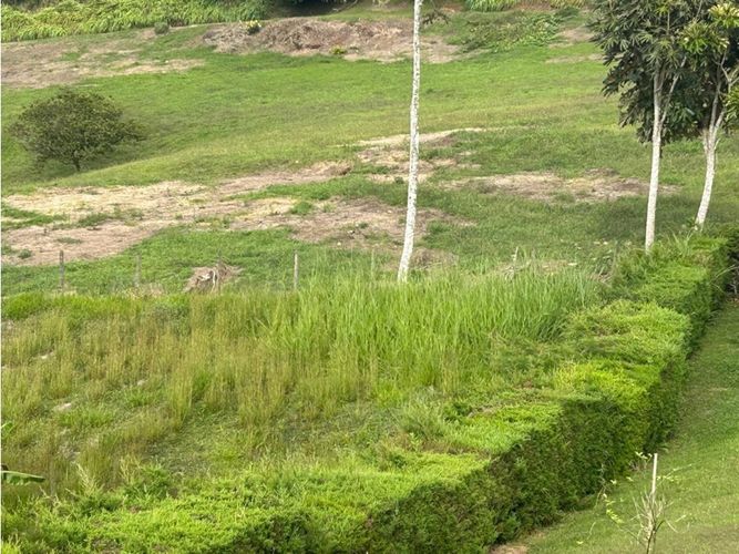 Lote en venta en Lago Calima, Cali, 8600 m² · foto 11 de 15