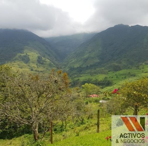 Finca en venta en Centro, Armenia · foto 3 de 8