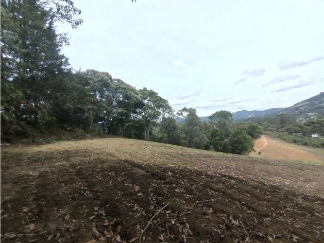 Lote en venta en Guamito, El Carmen de Viboral, 20000 m² · foto 3 de 24