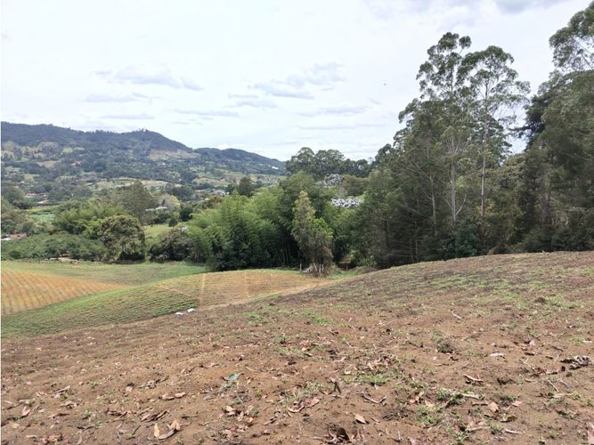 Lote en venta en Guamito, El Carmen de Viboral, 20000 m² · foto 4 de 24