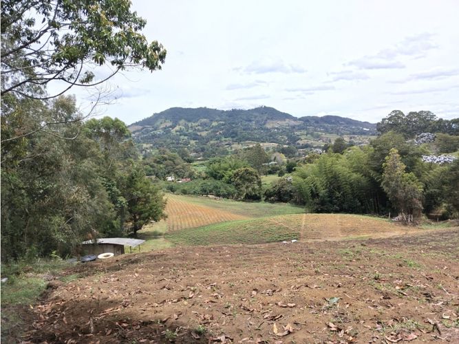 Lote en venta en Guamito, El Carmen de Viboral, 20000 m² · foto 5 de 24