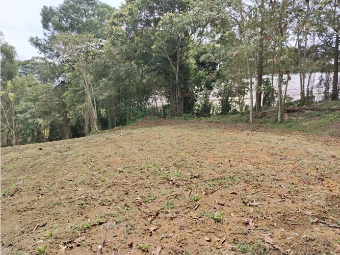 Lote en venta en Guamito, El Carmen de Viboral, 20000 m² · foto 6 de 24