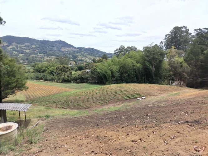 Lote en venta en Guamito, El Carmen de Viboral, 20000 m² · foto 7 de 24