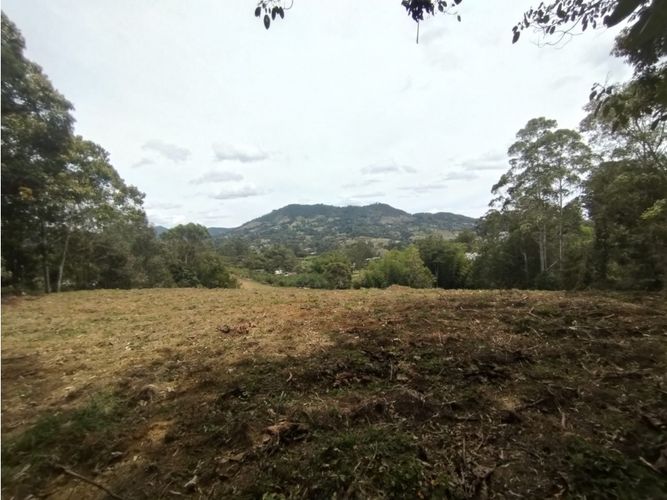 Lote en venta en Guamito, El Carmen de Viboral, 20000 m² · foto 8 de 24