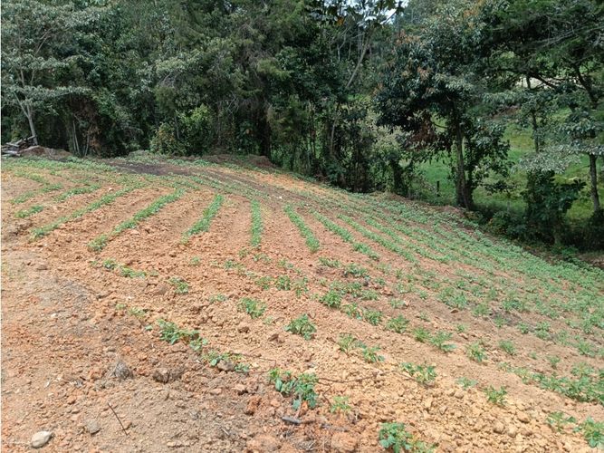 Lote en venta en Guamito, El Carmen de Viboral, 20000 m² · foto 10 de 24