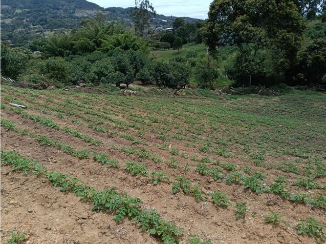 Lote en venta en Guamito, El Carmen de Viboral, 20000 m² · foto 12 de 24