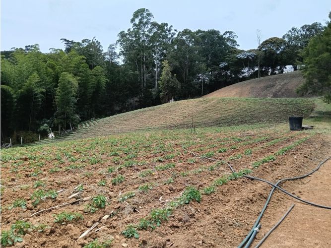 Lote en venta en Guamito, El Carmen de Viboral, 20000 m² · foto 14 de 24