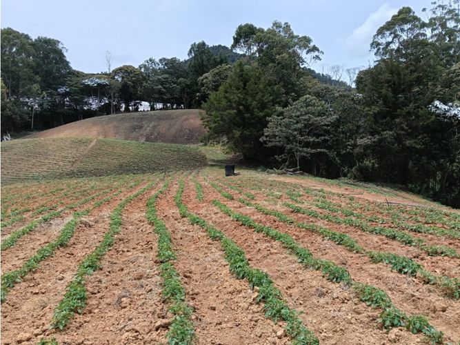 Lote en venta en Guamito, El Carmen de Viboral, 20000 m² · foto 15 de 24