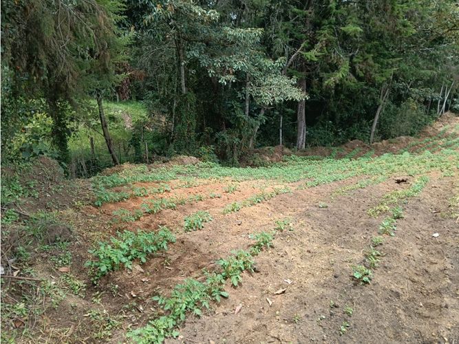 Lote en venta en Guamito, El Carmen de Viboral, 20000 m² · foto 16 de 24