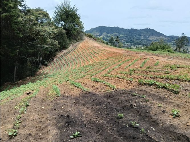 Lote en venta en Guamito, El Carmen de Viboral, 20000 m² · foto 17 de 24