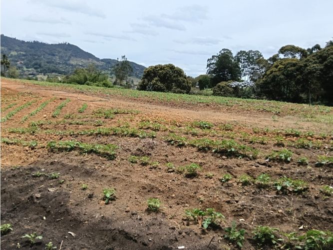 Lote en venta en Guamito, El Carmen de Viboral, 20000 m² · foto 19 de 24