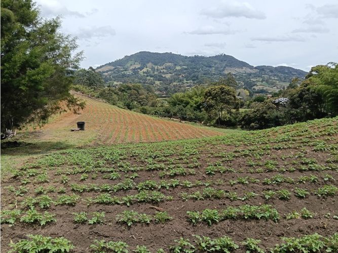 Lote en venta en Guamito, El Carmen de Viboral, 20000 m² · foto 20 de 24
