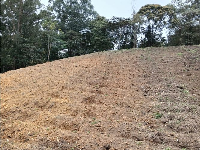 Lote en venta en Guamito, El Carmen de Viboral, 20000 m² · foto 22 de 24