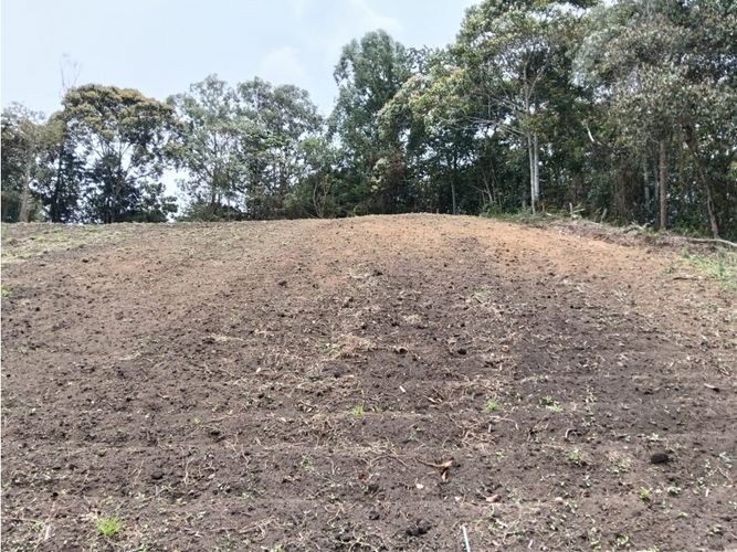 Lote en venta en Guamito, El Carmen de Viboral, 20000 m² · foto 24 de 24