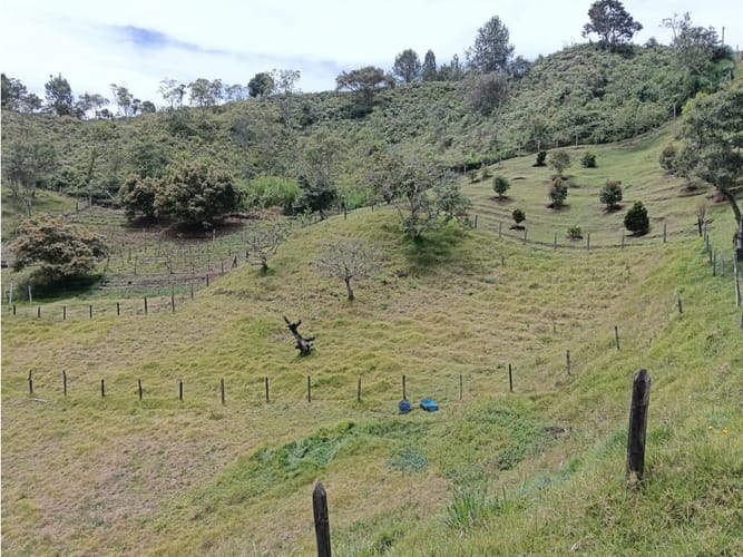 Finca en venta en La Mejia, Guarne, 1150 m² · foto 11 de 17