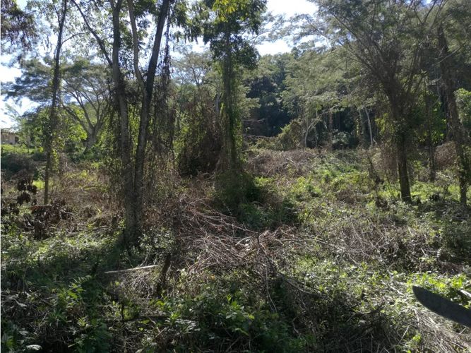 Lote en venta en Mesa, Envigado, 2700 m² · foto 7 de 22