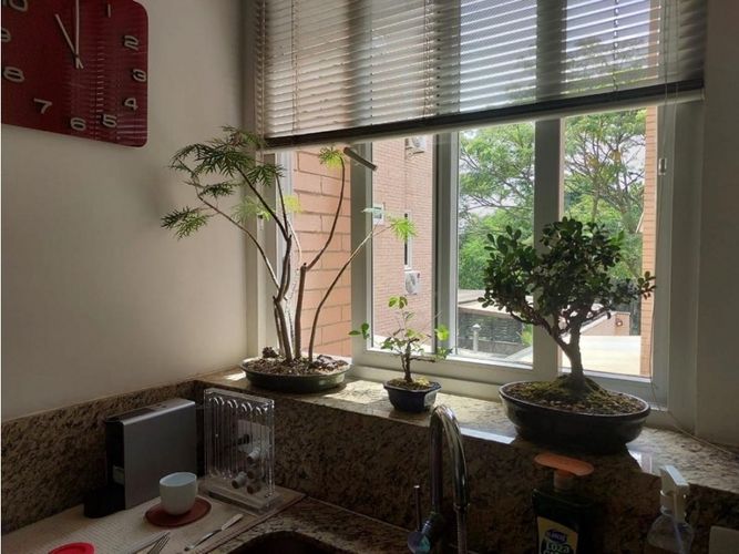Apartamento de 4 alcobas en venta en Pance, Cali, 195 m² · foto 6 de 24