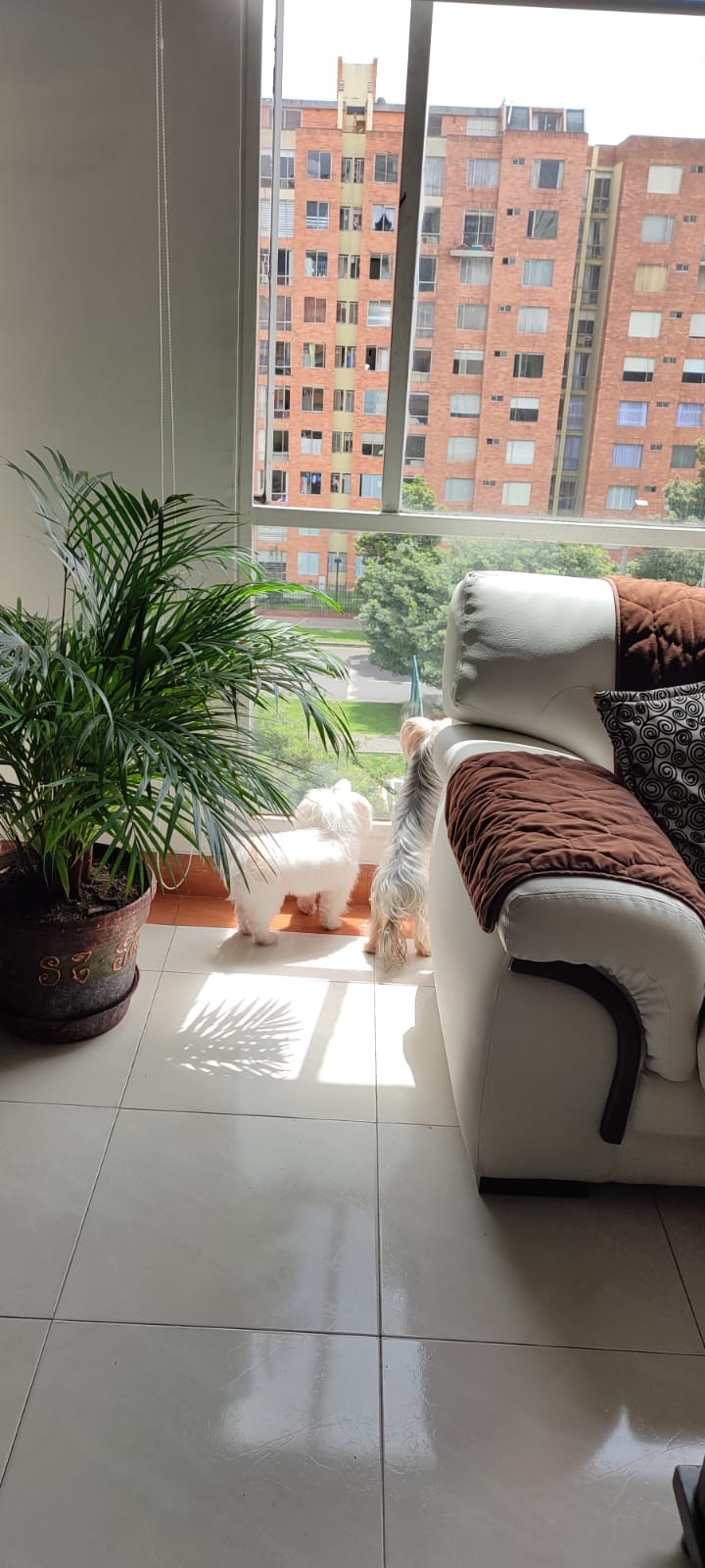 Apartamento en venta en Ciudad Salitre Occidental, Bogotá · foto 10 de 18