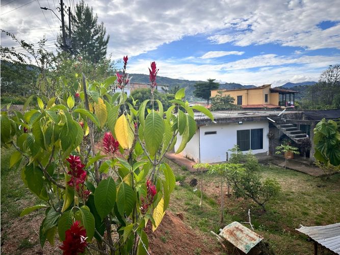 Finca en venta en La Reforma, Cali, 300 m² · foto 2 de 24