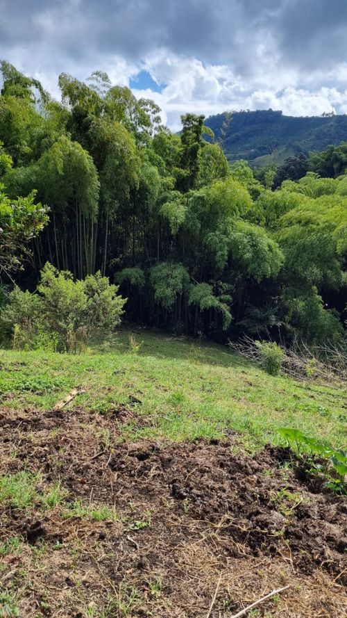 Finca en venta en La Bella, Pereira, 220 m² · foto 7 de 24