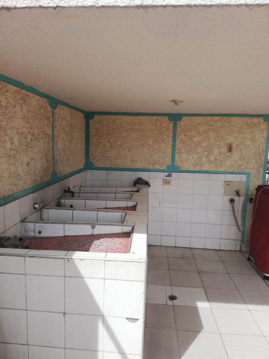 Casa en venta en Catalina, Bogotá · foto 8 de 11